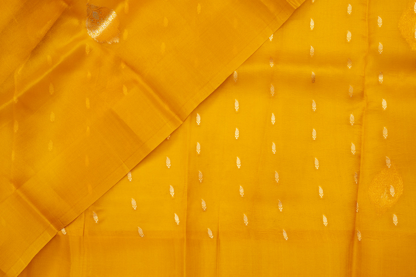 Varanasi Topaz - Organza Silk Saree