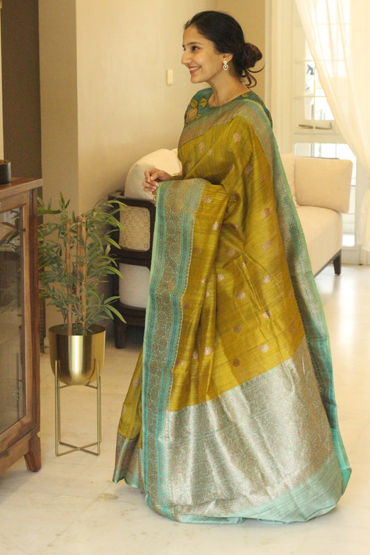 Mahapala - Banaras silk saree