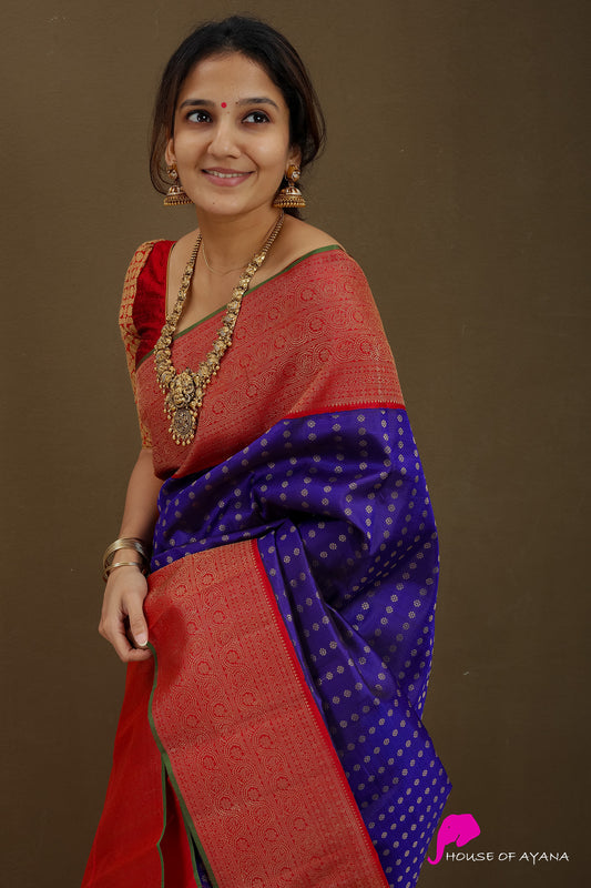 Rasikapriya - Kanjivaram silk saree