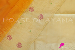 Aaradhya