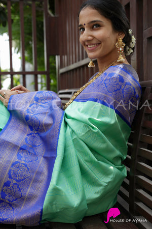 Bhavayami