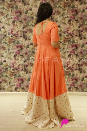 Firefly Embroidered Tussar silk Gown