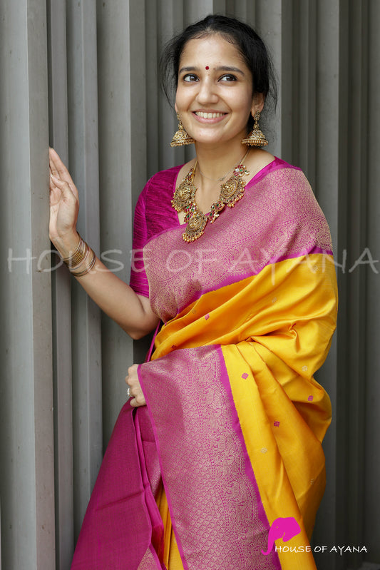Bhavayami