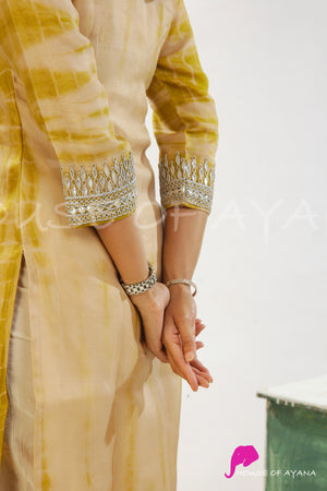 Manuka Honey Organza Embroidered Kurti