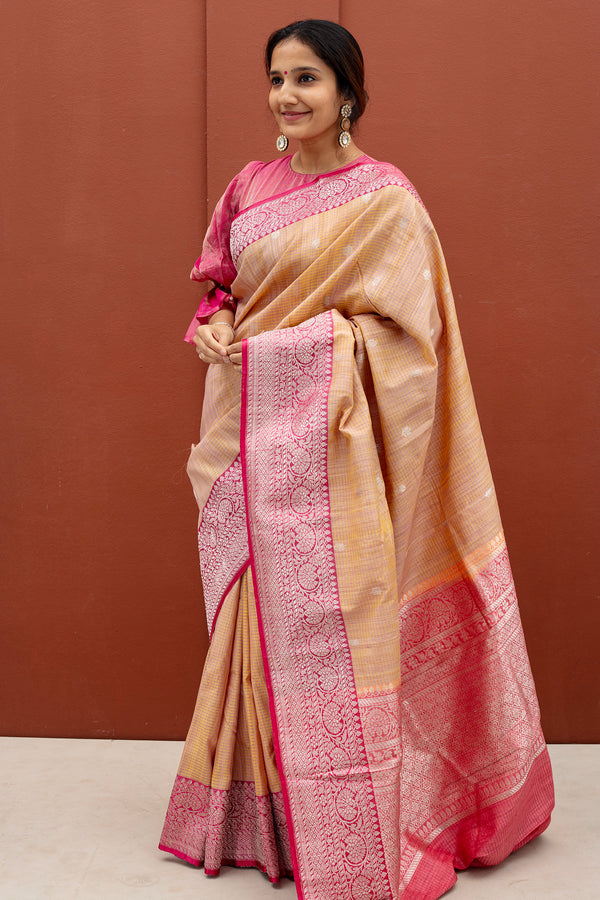 Umaid Bhavan - Banaras silk saree