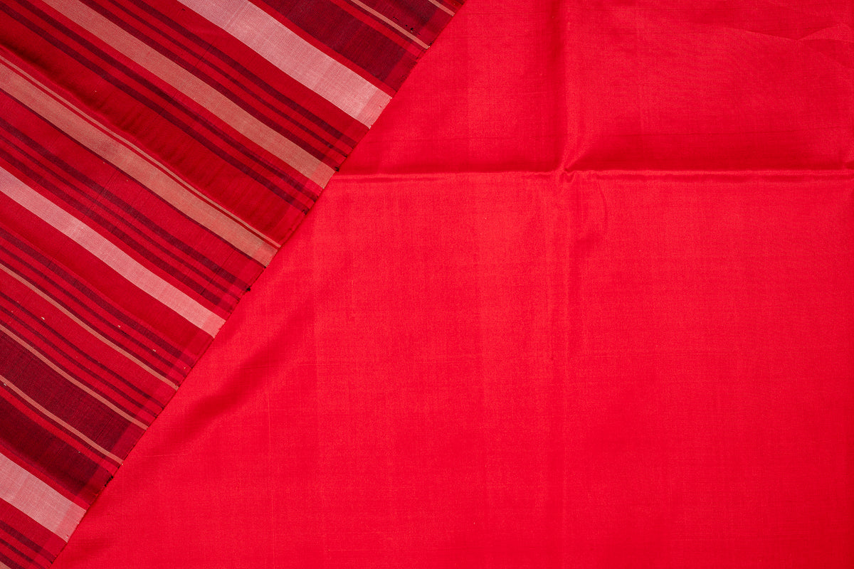 Organza Silk | Aruna