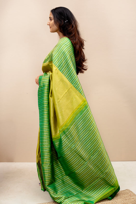 Ekandrishta - Kanjivaram silk saree