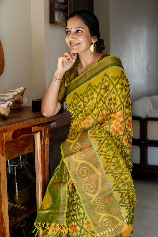 Gaurang | Chanderi